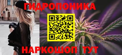 крисы Свободный