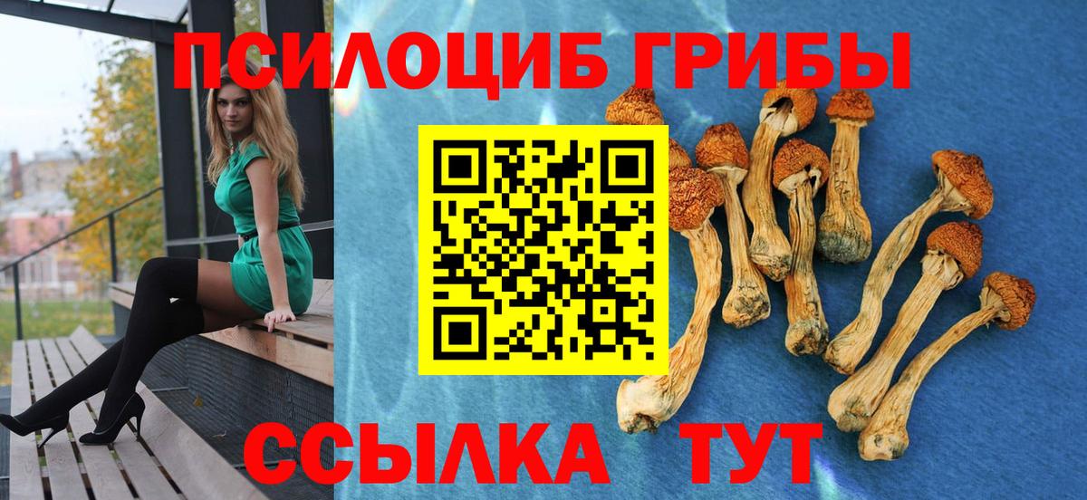 Галлюциногенные грибы MAGIC MUSHROOMS Сафоново